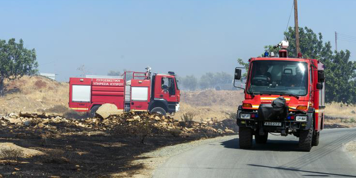 Υπό πλήρη έλεγχο δασική πυρκαγιά σε περιοχή της κοινότητας Πέγειας
